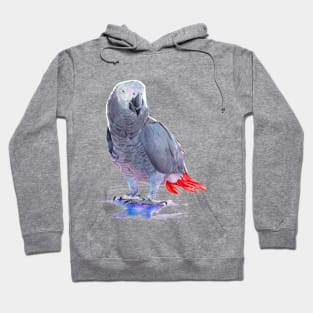 African Grey Parrot Hoodie